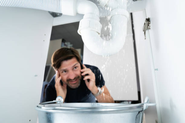 Best Water Leak Repair  in Dekal, IL