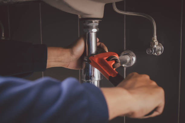 Best Clogged Drain Plumber  in Dekal, IL